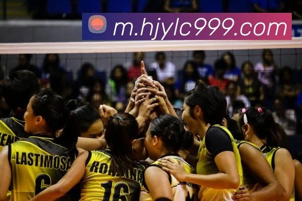 皇家赌场hjdc服务体系